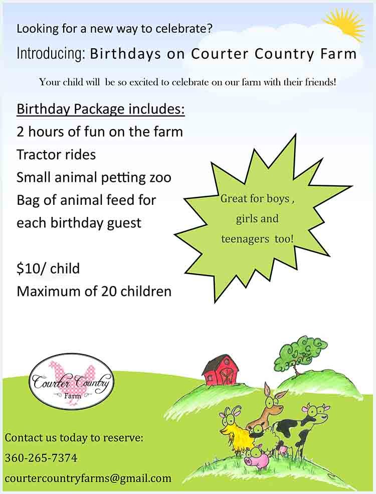 Courter Country Farm Birthday Party Flyer