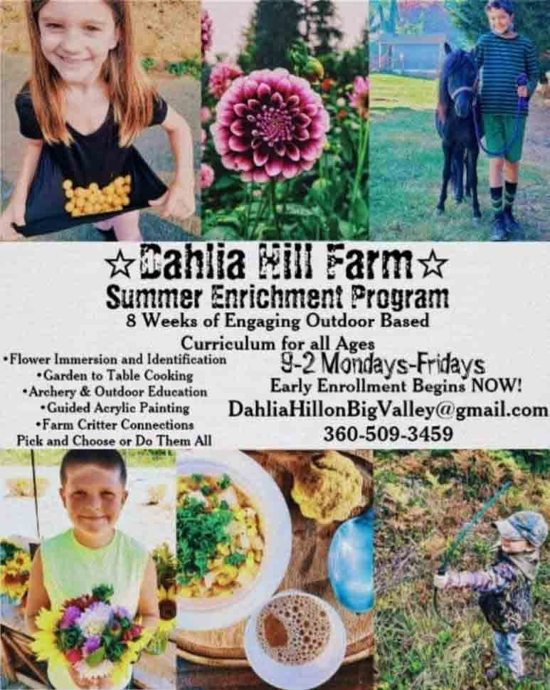 Dahlia Hill Farm Camp 2021