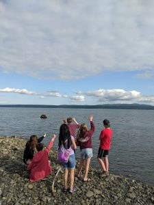Explore the Fjord Summer Camp: Learning at Misery Point